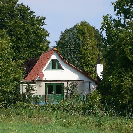 Haus Am See Lembruch Exteriör bild